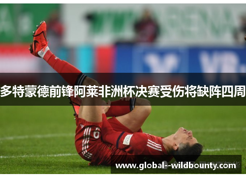多特蒙德前锋阿莱非洲杯决赛受伤将缺阵四周