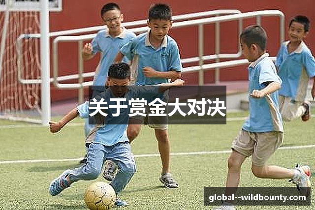 关于赏金大对决